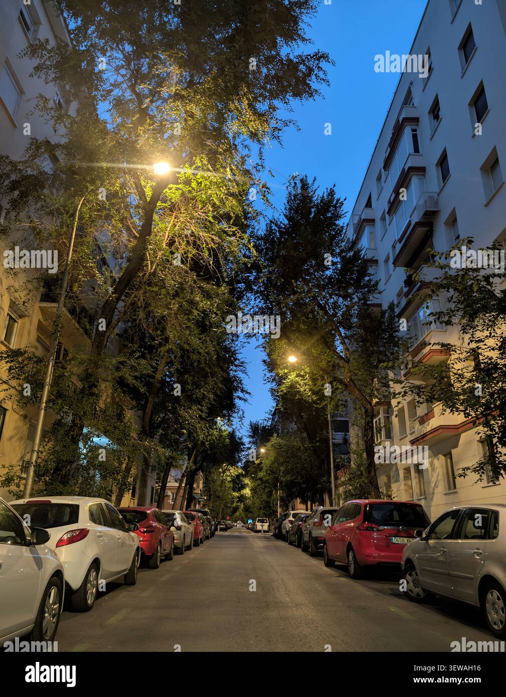 Eine symmetrische Aufnahme einer ruhigen Wohnstraße in der Dämmerung, gesäumt von geparkten Autos, grünen Bäumen und Wohngebäuden unter einer Tiefe - Smartphone-aufgenommenes Stockfoto