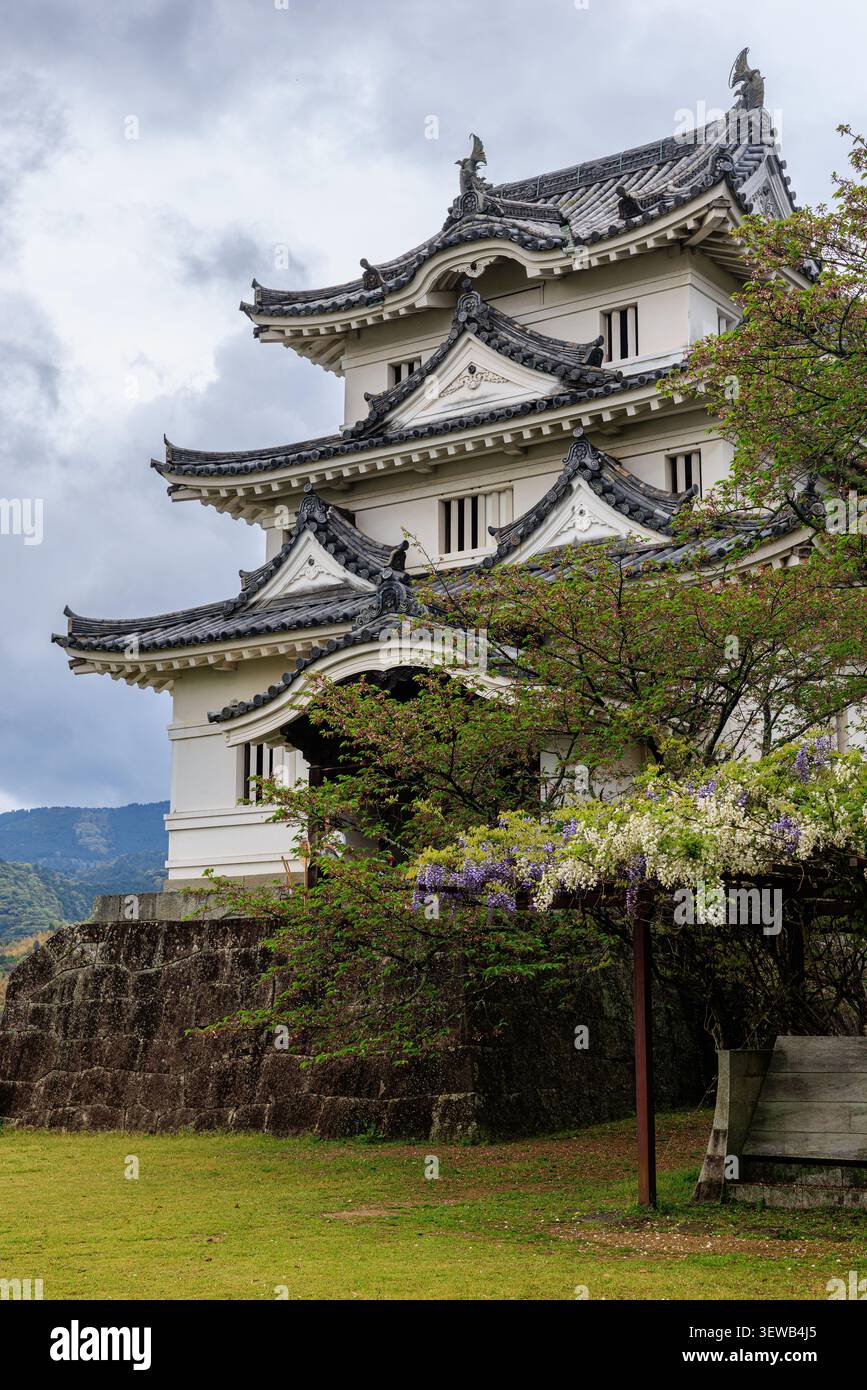 historische Burg Uwajima aus der Edo-Periode unter einem stimmungsvollen bewölkten Himmel mit weißem Glyzinienbaum in Blüte Stockfoto