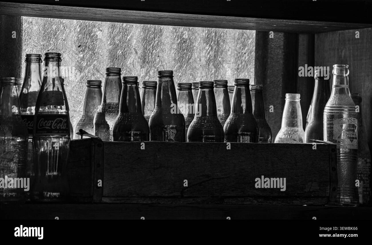 Schwarz-weiß-Foto von alten staubigen Limonadenflaschen, die auf einem Regal in einer alten Taverne sitzen. Stockfoto
