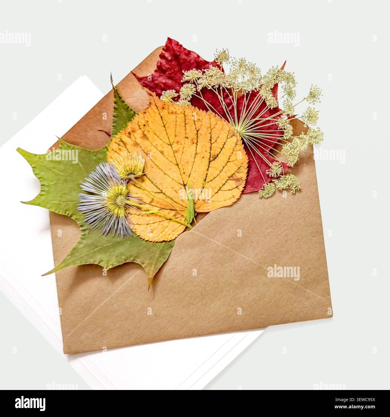 Herbstkomposition mit Umschlag, getrocknete Blätter auf hellem Hintergrund Stockfoto