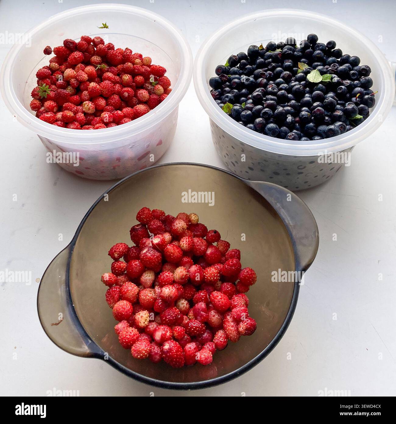 Helle wilde Erdbeeren und saftige Heidelbeeren in klaren Schüsseln auf weißer Oberfläche Stockfoto