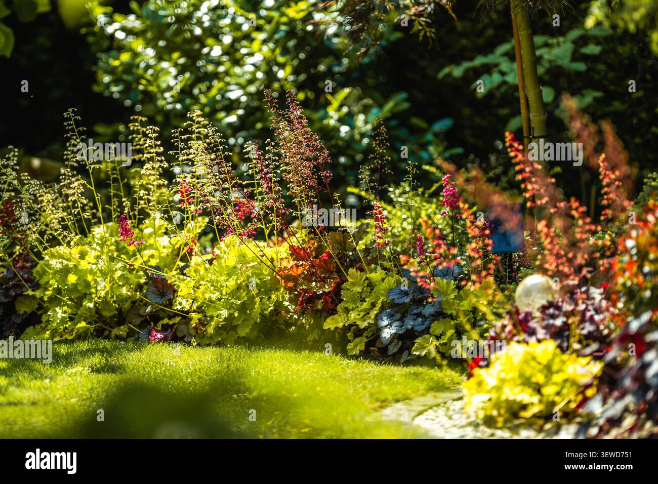 Grüne und farbenfrohe Pflanzen gedeihen in einem Garten unter Sonnenlicht. Das Arrangement besteht aus verschiedenen Blättern und Blumen. Diese Szene fängt die Lebendigkeit von ein Stockfoto