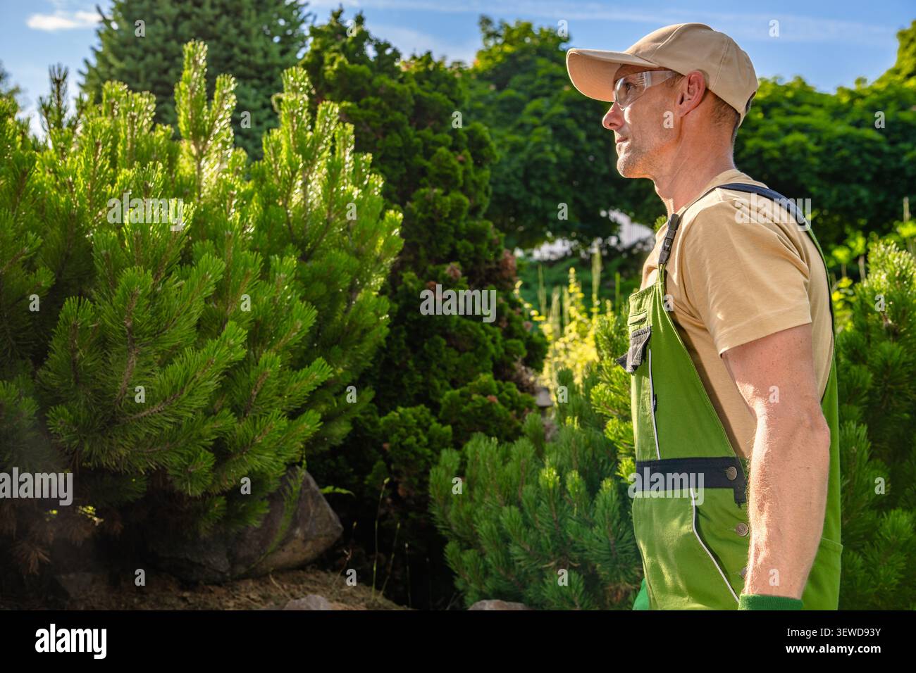 Ein Mann läuft durch einen Garten mit Bäumen und Büschen um ihn herum. Er trägt Gartenkleidung und Handschuhe. Die Sonne scheint, und es ist klar Stockfoto