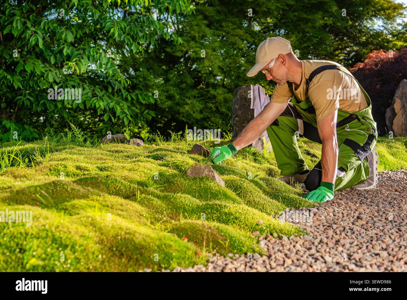 Eine Person kniet auf dem Boden und legt kleine Felsen auf eine grüne moosige Oberfläche. Die Umgebung ist ein Garten mit Bäumen im Hintergrund. Die Hände sind bedeckt Stockfoto