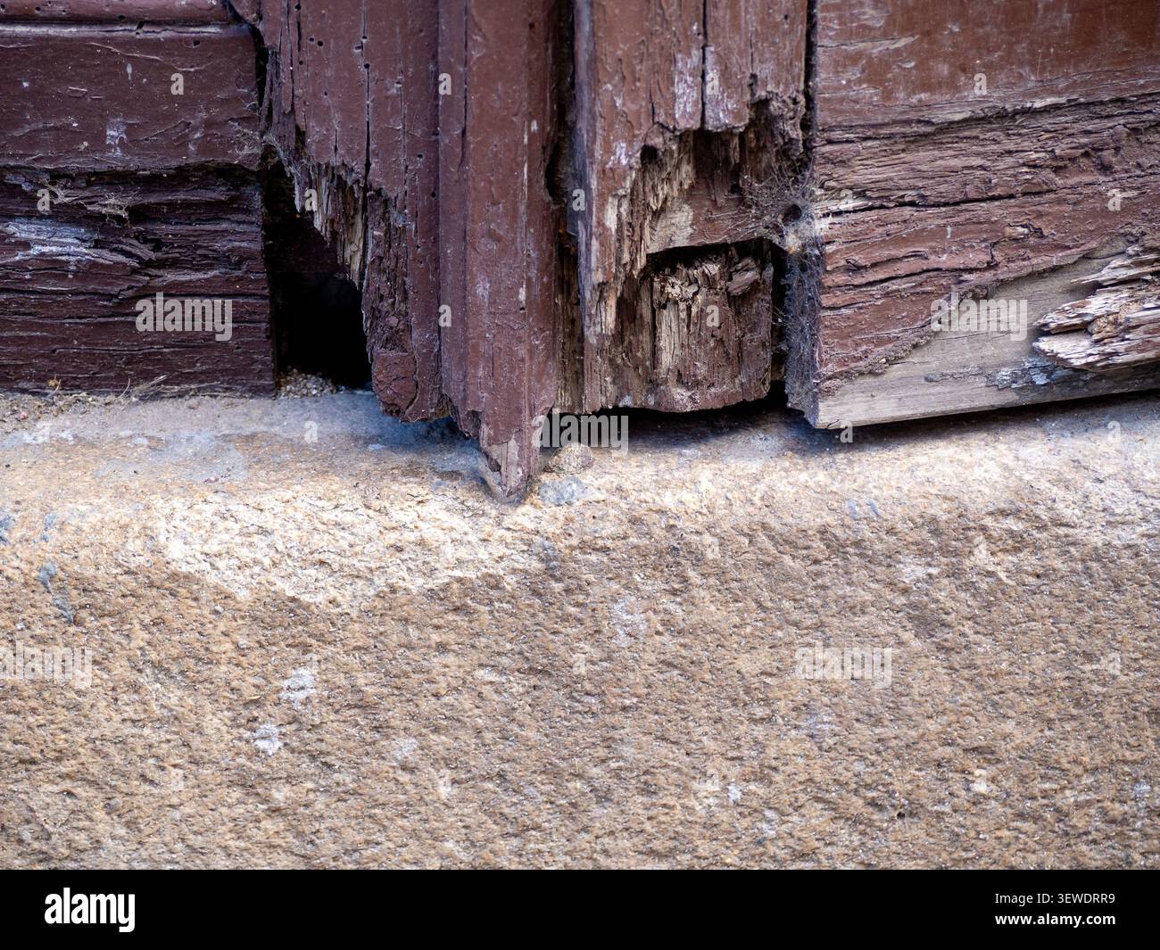 Verfaultes Holz, das Verfall und Beschädigung an einem alten Türrahmen und Steinfundament zeigt Stockfoto
