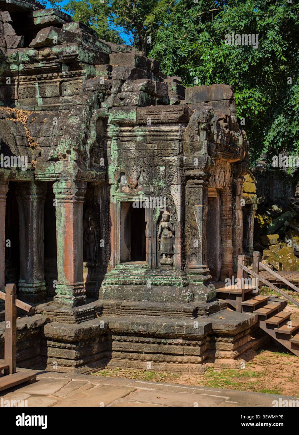 Devata Carving auf der Ta Prohm Tempelwand, Angkor, Kambodscha Stockfoto