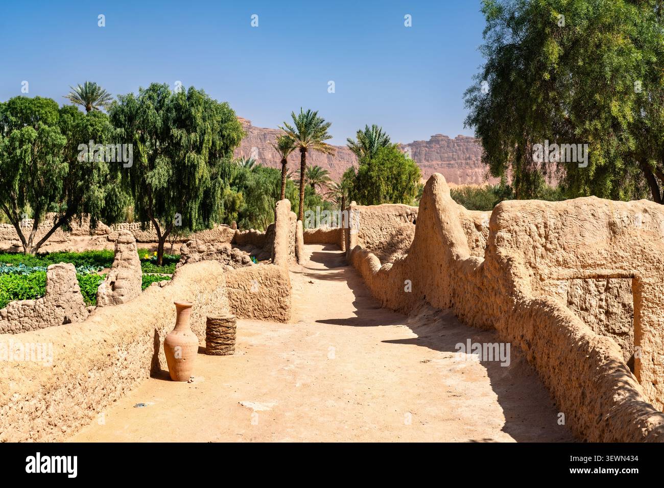 Detaillierter Blick auf traditionelle Lehmziegelwände und üppige Palmen in der Daimumah-Oase von Alula, Saudi-Arabien. Stockfoto
