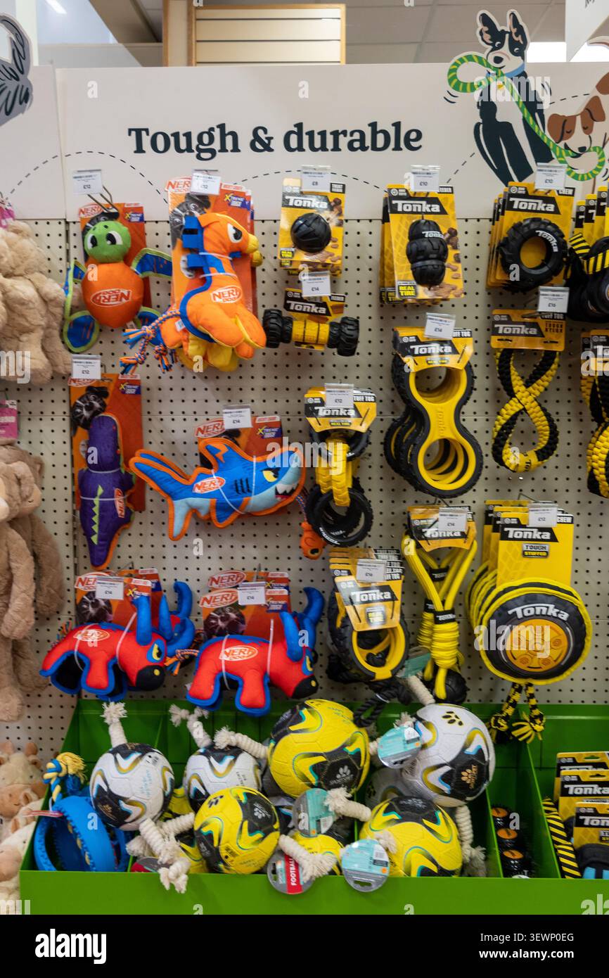 In einem Tierhandelgeschäft hängen die Hundespielzeuge der Marken Nerf Dog und Tonka unter einem robusten und haltbaren Schild. Stockfoto