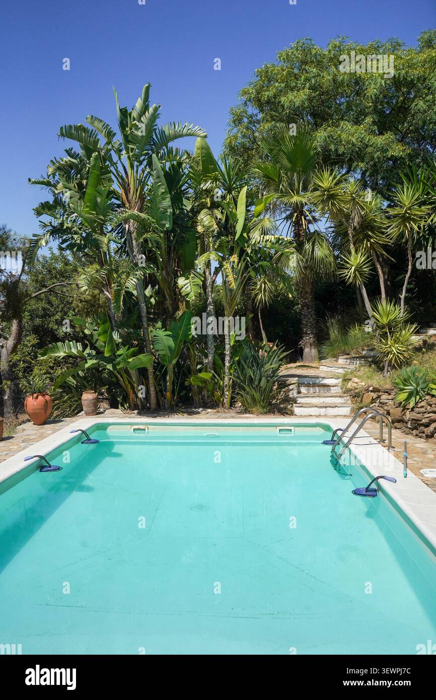 Helles, klares Blau rechteckiger Swimmingpool in einem üppigen, mediterranen Garten. Stockfoto