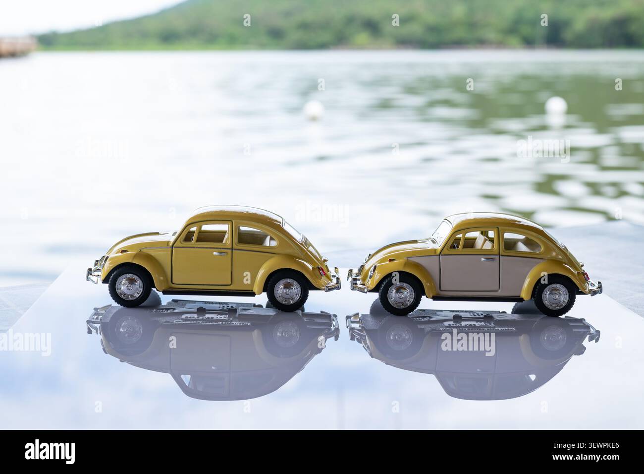 Chiang Mai, Thailand - 22. Juni 2026 : gelbe und zweifarbige gelbe Creme Volkswagen Beetle die-Cast Modelle nebeneinander in gleicher Richtung auf Reflect Stockfoto