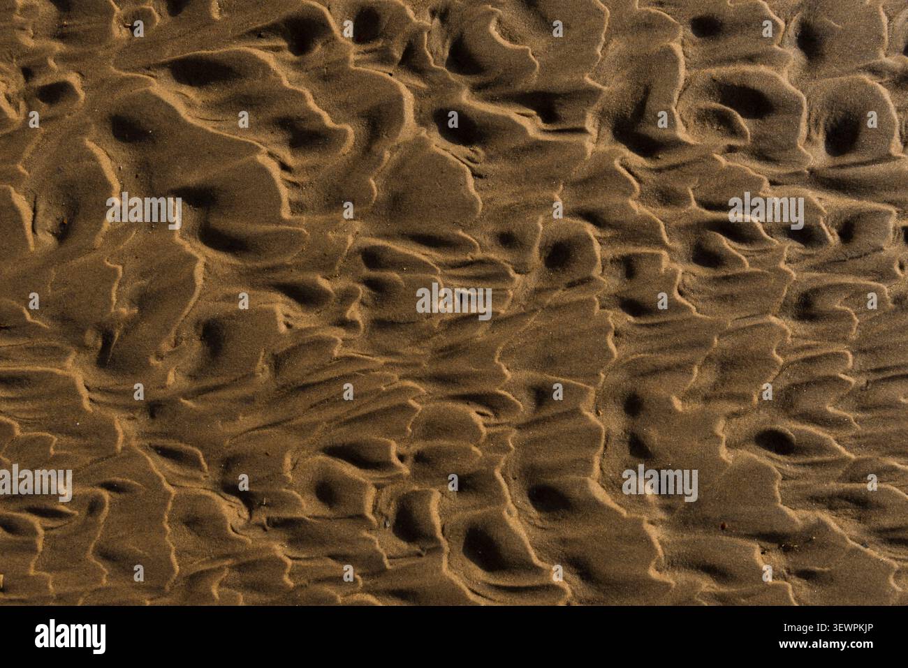 Desert sand Textur Stockfoto