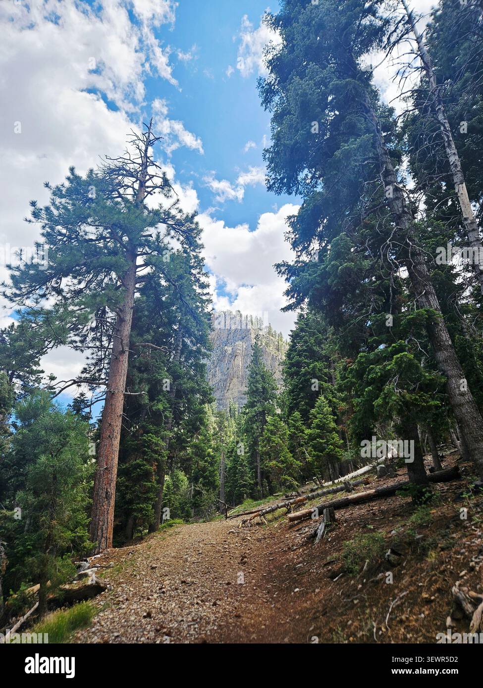 Mount Charleston - Blick auf den Fernen Berg - Smartphone-aufgenommenes Stockfoto