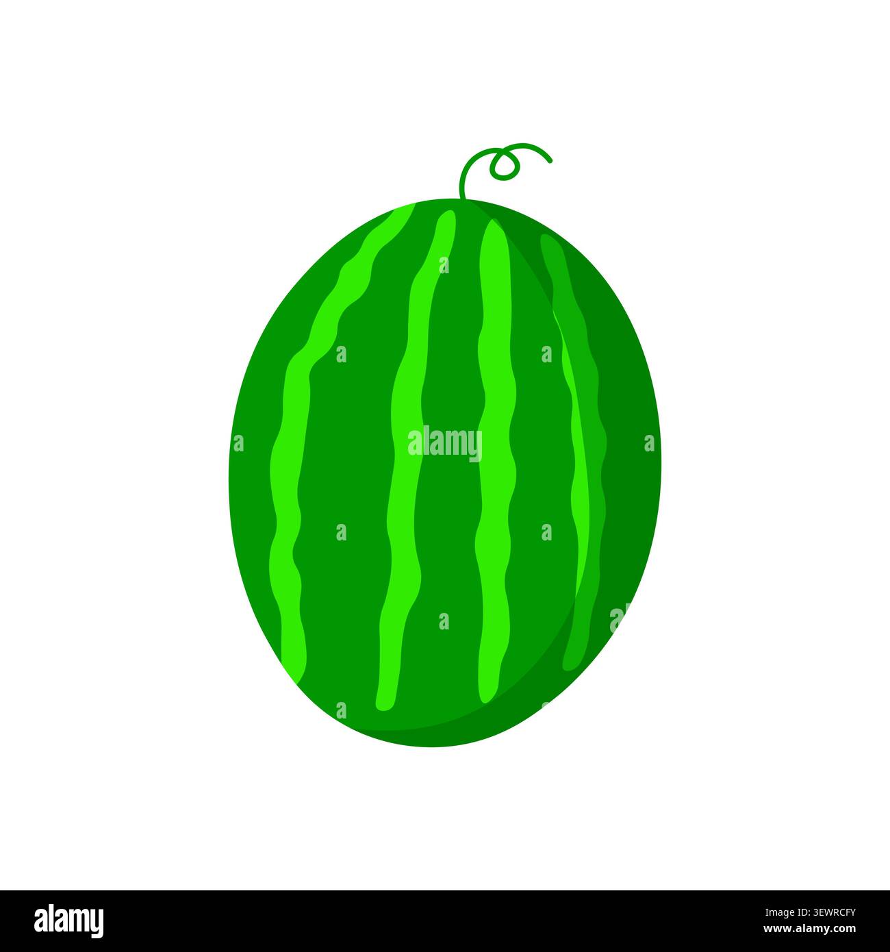 Grüne Wassermelone Illustration isolierte Farm Vibe auf weißem Hintergrund. Stock Vektor
