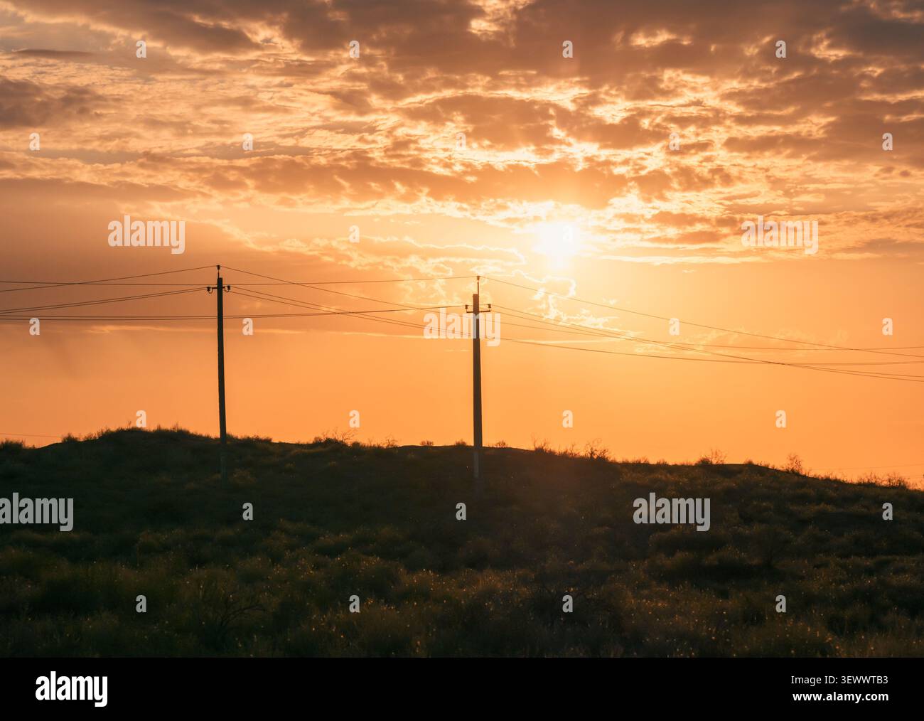 Sonnenuntergang über ländlicher Landschaft mit Stromleitungen vor goldenem Himmel. Stockfoto