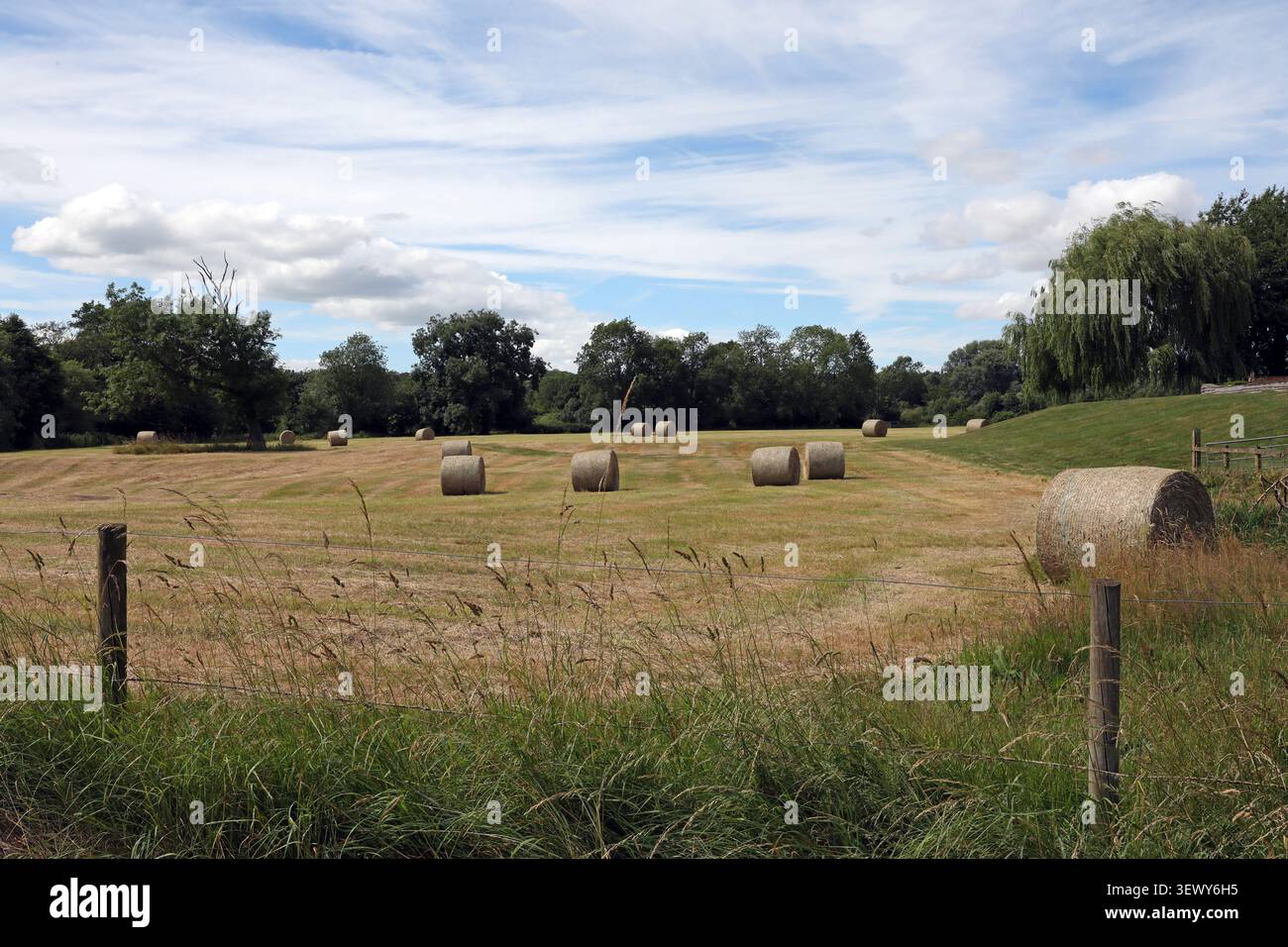 Runde (oder eher zylindrische) Heuballen auf einem Feld in Großbritannien Stockfoto