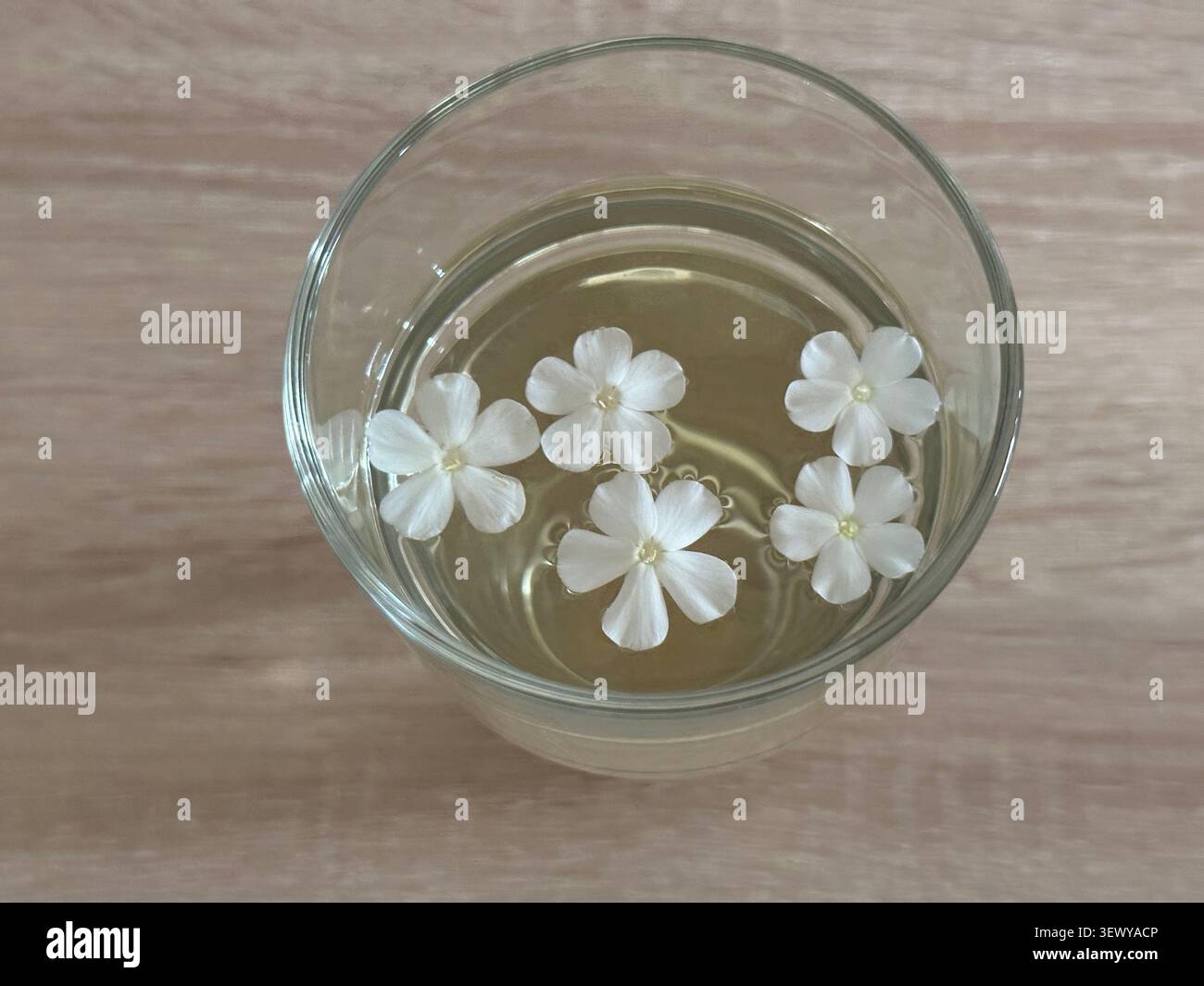 Weiße kleine Blüten, die in einem Glas erfrischendes Kräutergetränk von Hand schwimmen. Hochwinkelansicht der zarten weißen Phloxblüten, die oben schweben - Smartphone-aufgenommenes Stockfoto