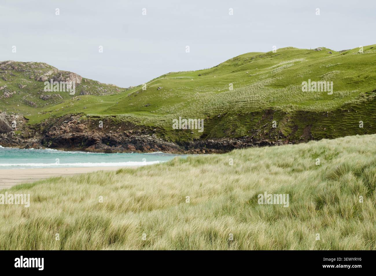 Windgepeitschtes Dünengras lenkt den Blick in Richtung einer türkisfarbenen Bucht, die von grünen Hügeln an Cliff Beach, Isle of Lewis, Outer Hebrides, Schottland eingerahmt wird Stockfoto