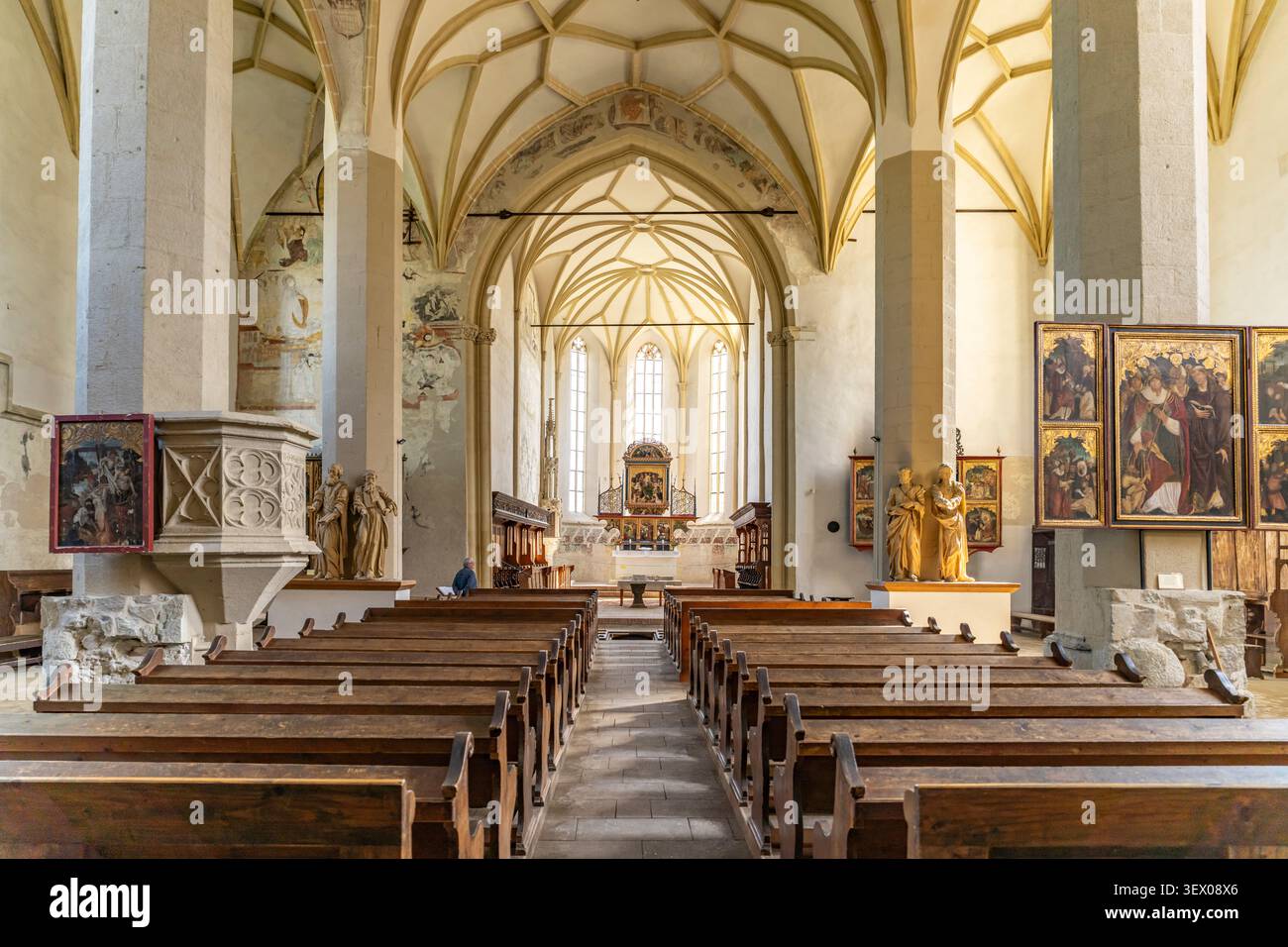 Innenraum der Schäßburger Bergkirche in Sighisoara oder Schäßburg, Siebenbürgen, Rumänien | Inneres der Kirche auf dem Hügel in Sighisoara, Transyl Stockfoto