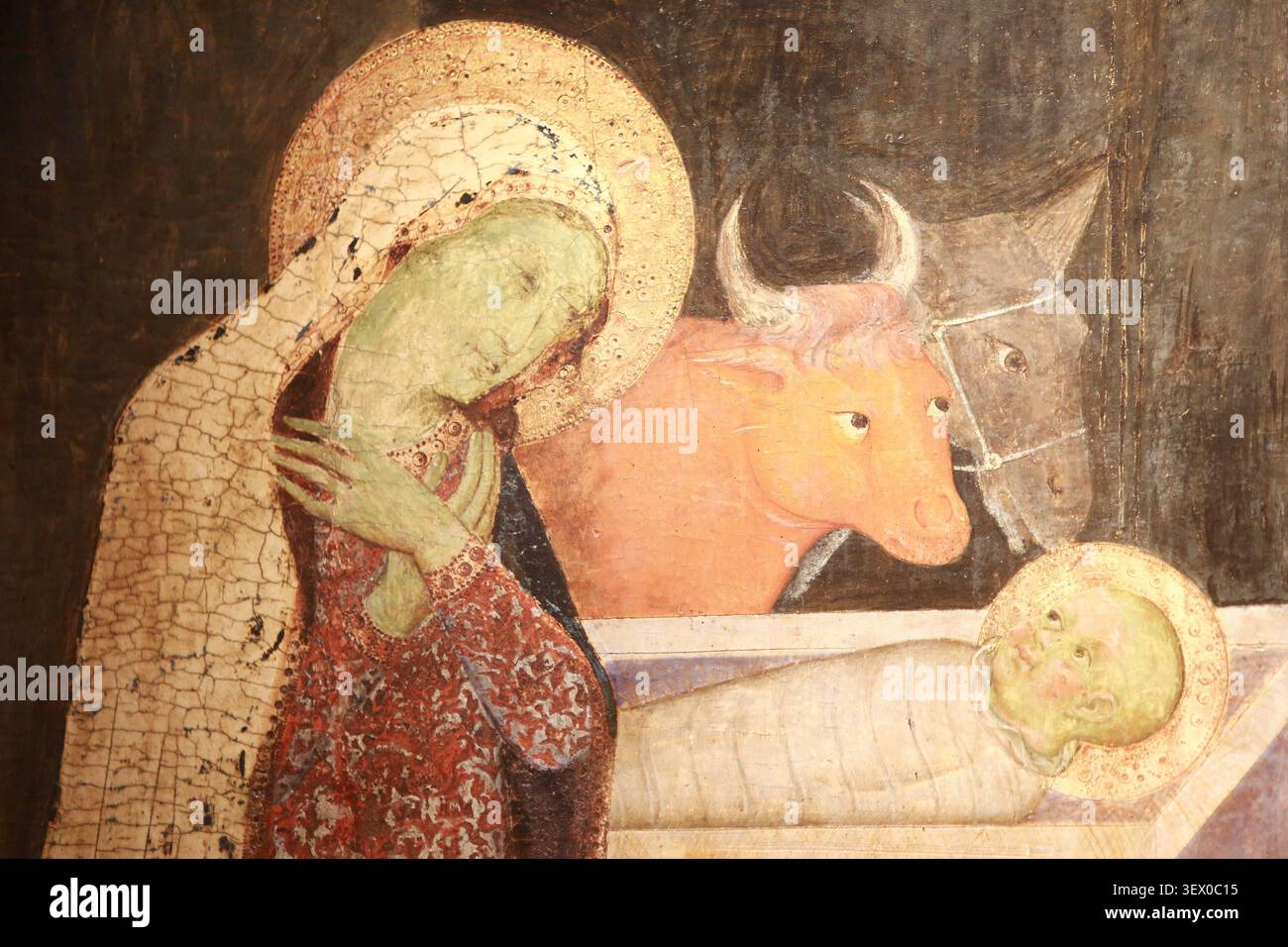 L'Adoration des Bergers. Attribué à Bartolo di Fredi. (Battilori). Sienne. Connu depuis 1353. Mort en 1410. D 24. Dépôt du Musée du Louvre. Exposition Stockfoto