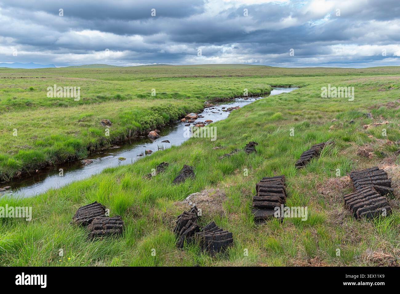 Reihen von geschnittenen Torfplatten oder Rasen stapelbar und trocknend im Frühsommer Sutherland Scotland Bild 4 Stockfoto