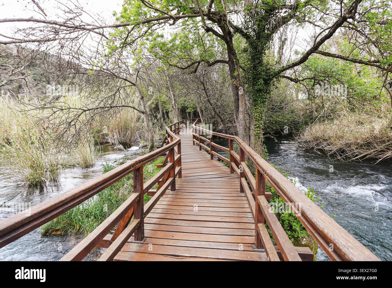 Holzsteg über den Fluss im Naturpark. Landschaftlich reizvoller Reisehintergrund für Wanderungen im Freien, Erholungstourismus und friedliche Erkundungen in der Natur. Stockfoto