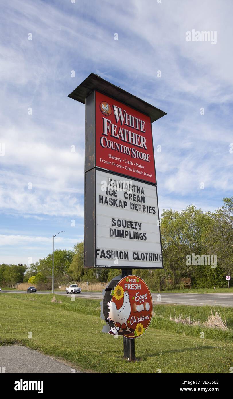 Außenschild für den White Feather Country Store in Durham, Ontario, das lokale Produkte wie Kawartha-Eis und frische Eier präsentiert. Das Schild ist platziert Stockfoto