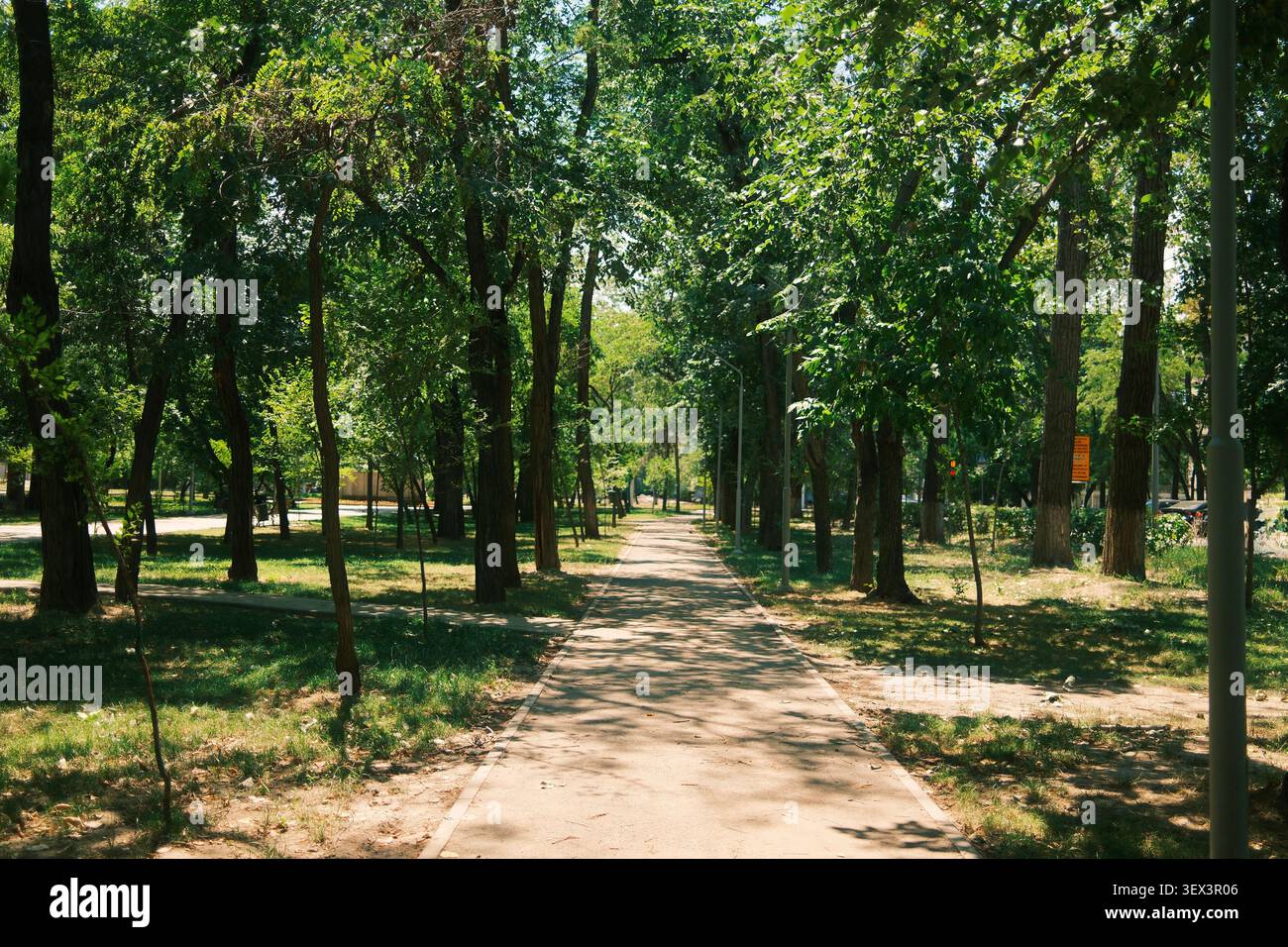 Malerischer Fußweg umgeben von üppigen grünen Bäumen in einem öffentlichen Stadtpark. Perfekt für Konzepte des Spazierens, der Erholung im Freien, der gesunden Lebensweise Stockfoto