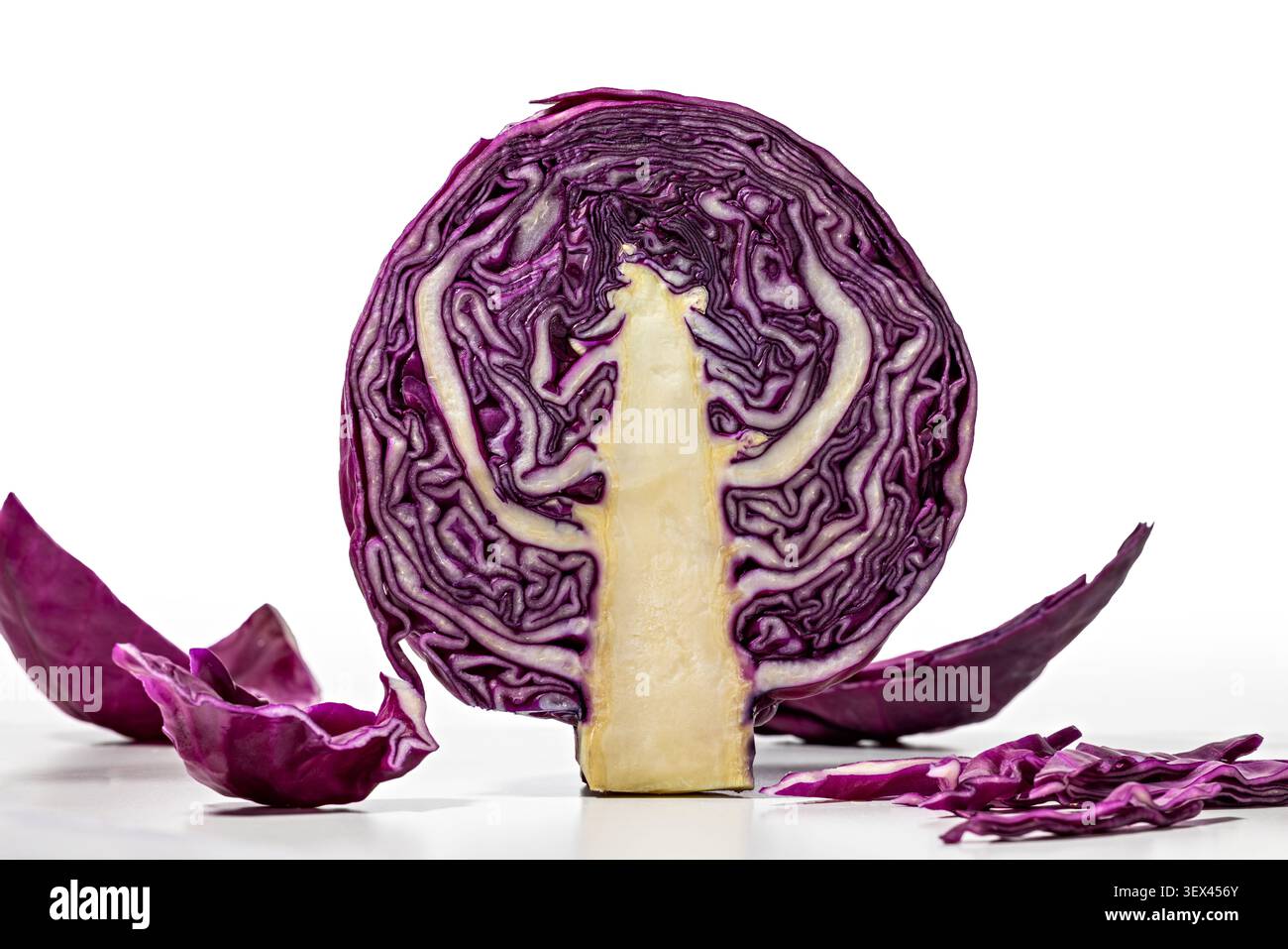 Geschnittener Purpurkohl auf weißem Hintergrund, der natürliche Textur für kulinarische und Gesundheitskonzepte hervorhebt Stockfoto