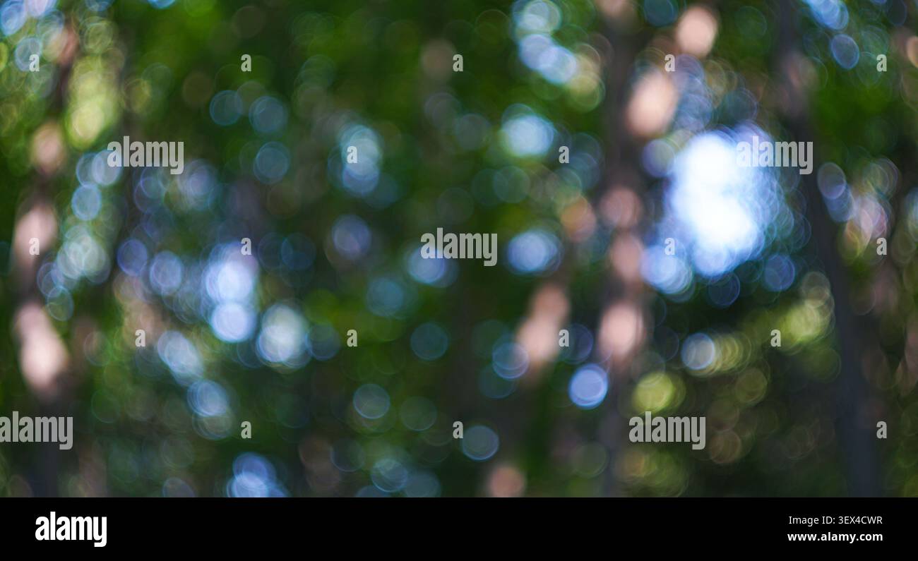 Grünes Bokeh-Foto, Bokeh-Hintergrund Stockfoto