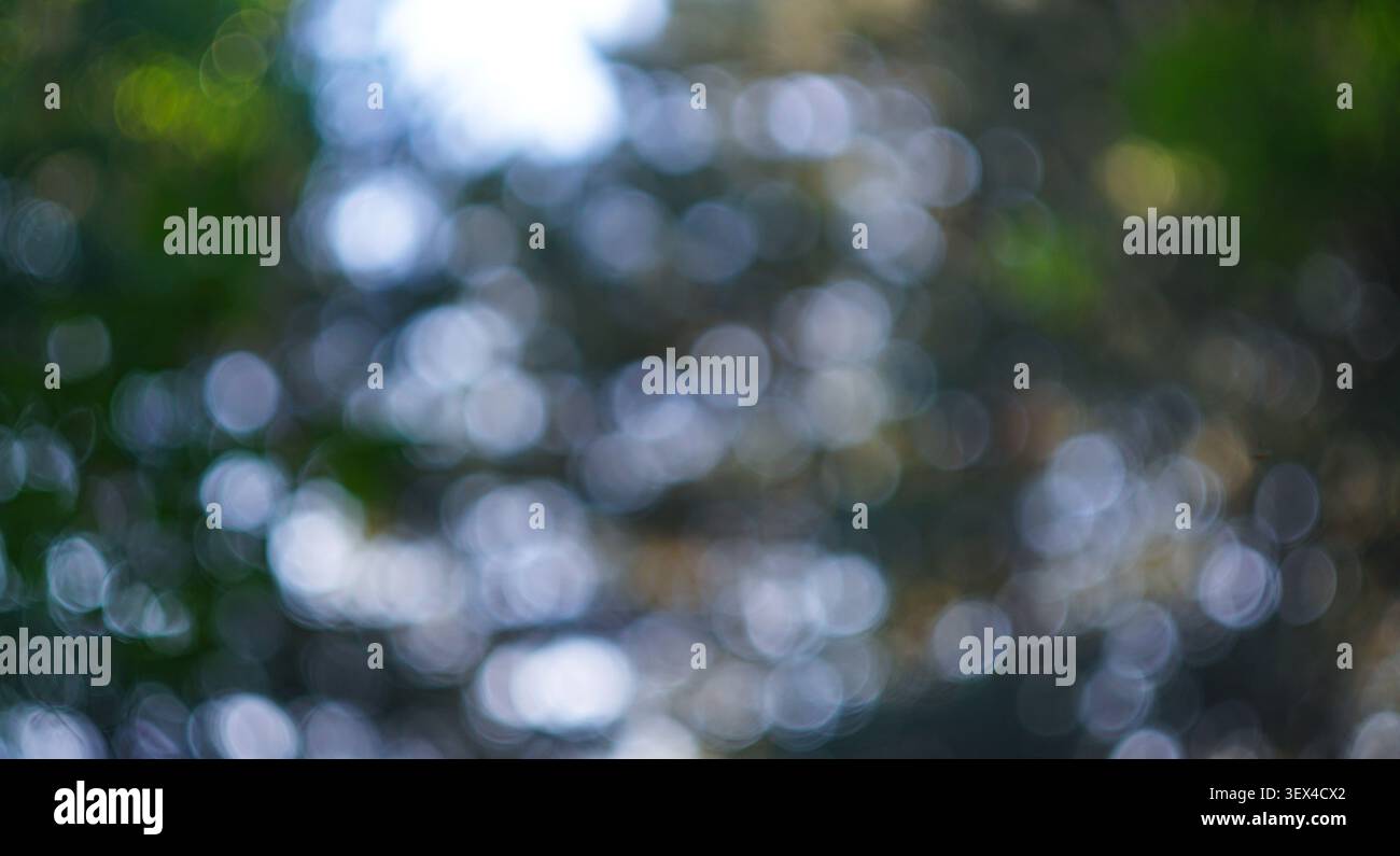 Grünes Bokeh-Foto, Bokeh-Hintergrund Stockfoto