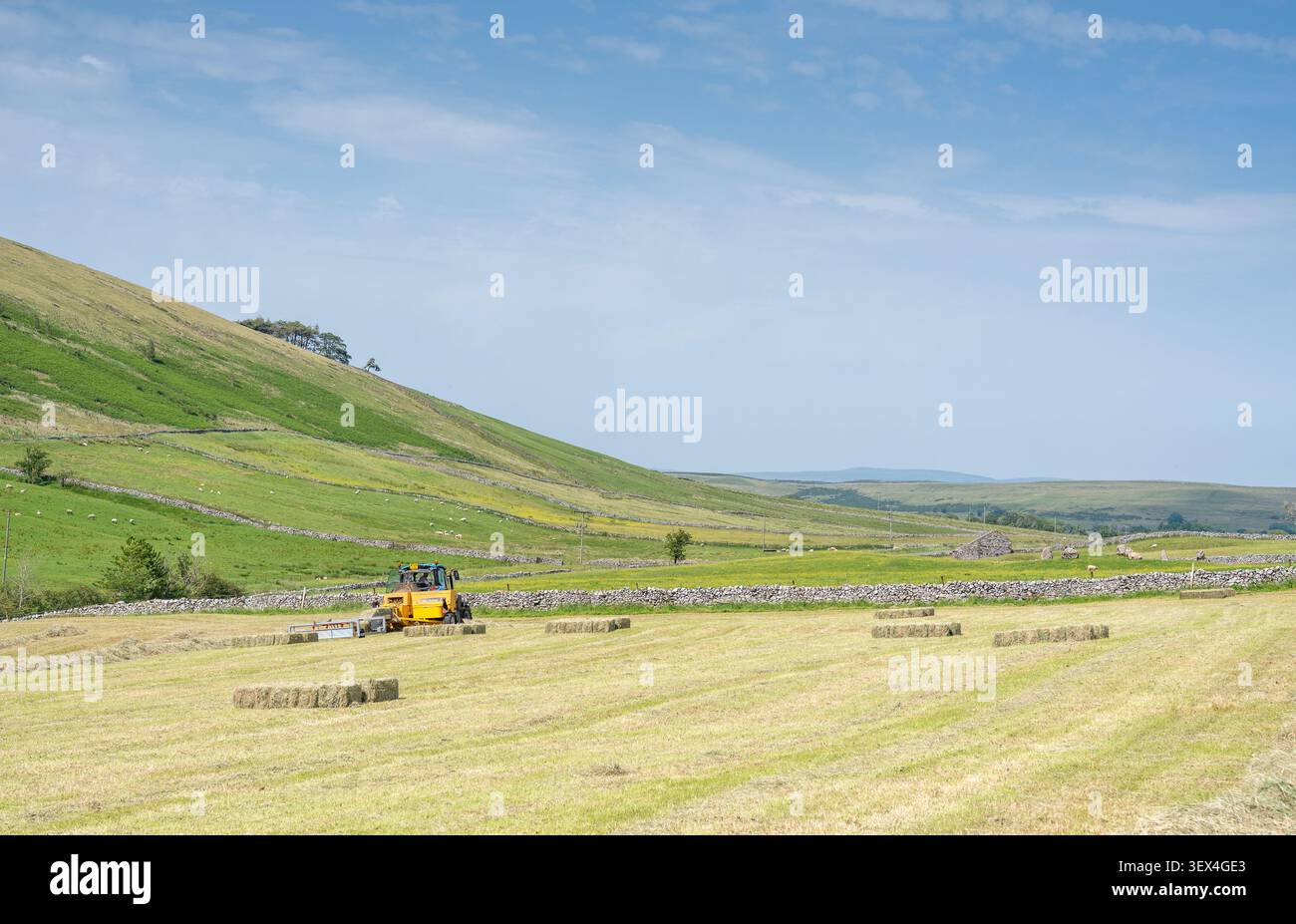 Heu wird mit einem konventionellen Ballenpresser in den Howgill-Wolken gemacht, in einer Wildblumenwiese für den Winterfutter für seine Swaledale-Schafe. Cumbria, UK Stockfoto