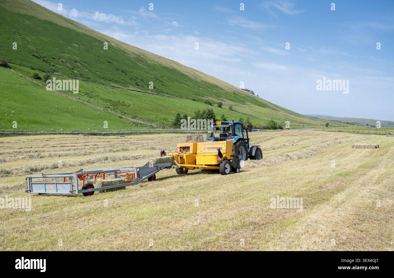 Heu wird mit einem konventionellen Ballenpresser in den Howgill-Wolken gemacht, in einer Wildblumenwiese für den Winterfutter für seine Swaledale-Schafe. Cumbria, UK Stockfoto