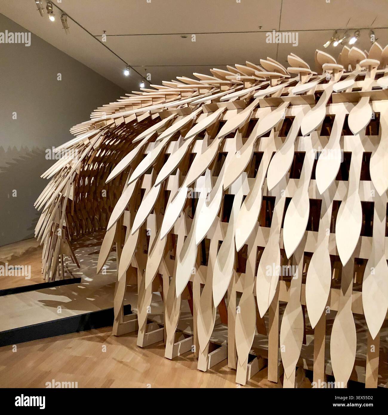 Eine komplexe architektonische Holzinstallation mit sich wiederholenden blattförmigen Elementen, die in einem hellen, minimalistischen Ausstellungsraum des Kunstmuseums ausgestellt werden Stockfoto