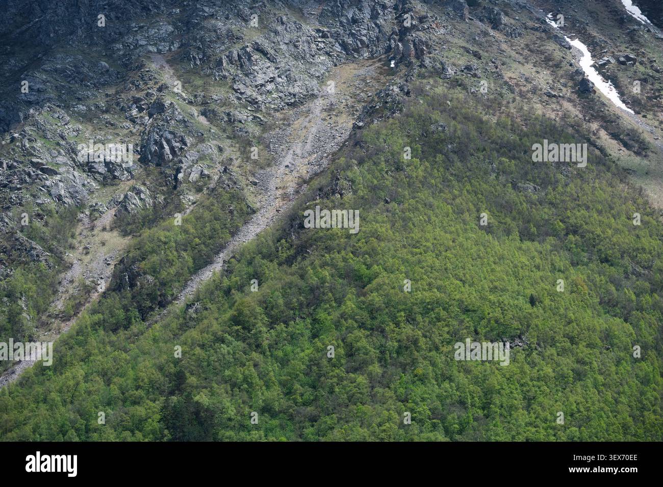 Natürliche Struktur eines steilen Berghangs, bedeckt mit dichtem grünen Wald und scharfem felsigem Gelände. Stockfoto