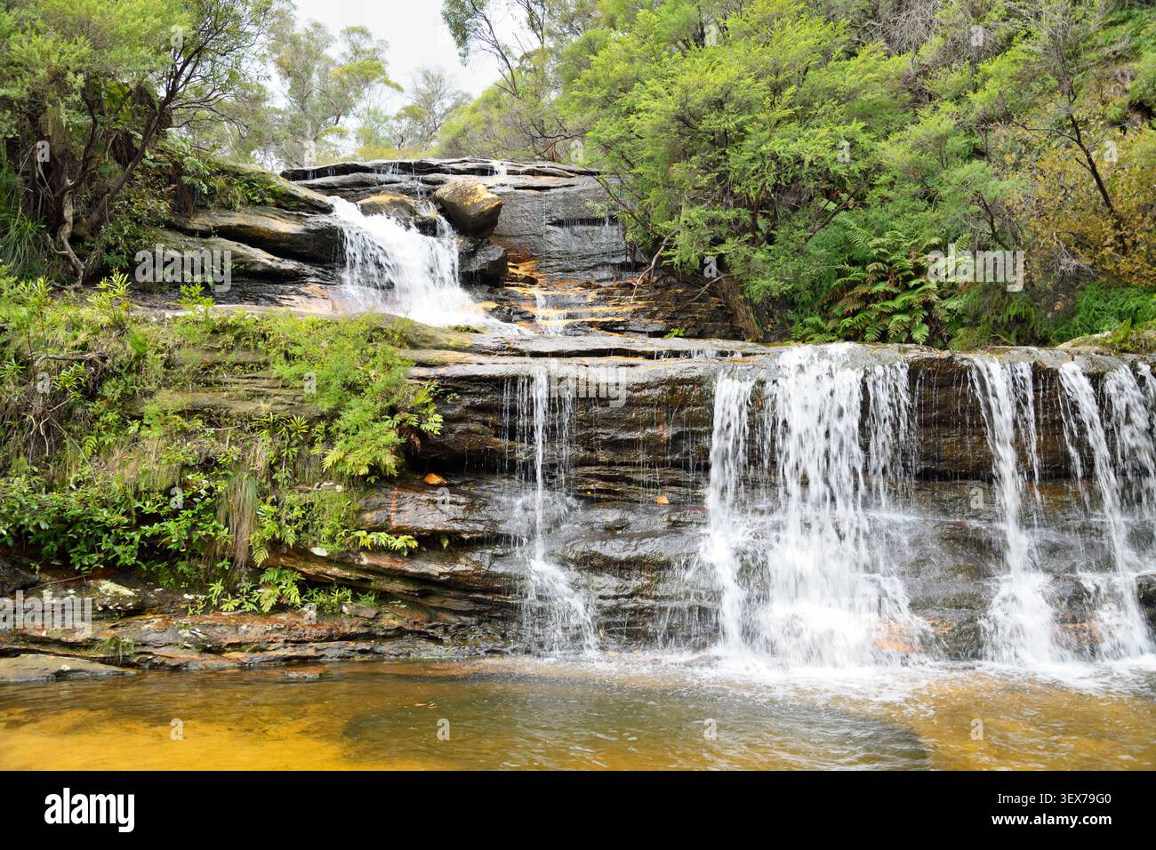 Australien, New South Wales, Wentworth Falls, Blue Mountains National Park, Wentworth Falls Wasserfall, Wasserfall über Sandsteinplatten mit natürlichem Pool, Buschvegetation und Farnen Stockfoto
