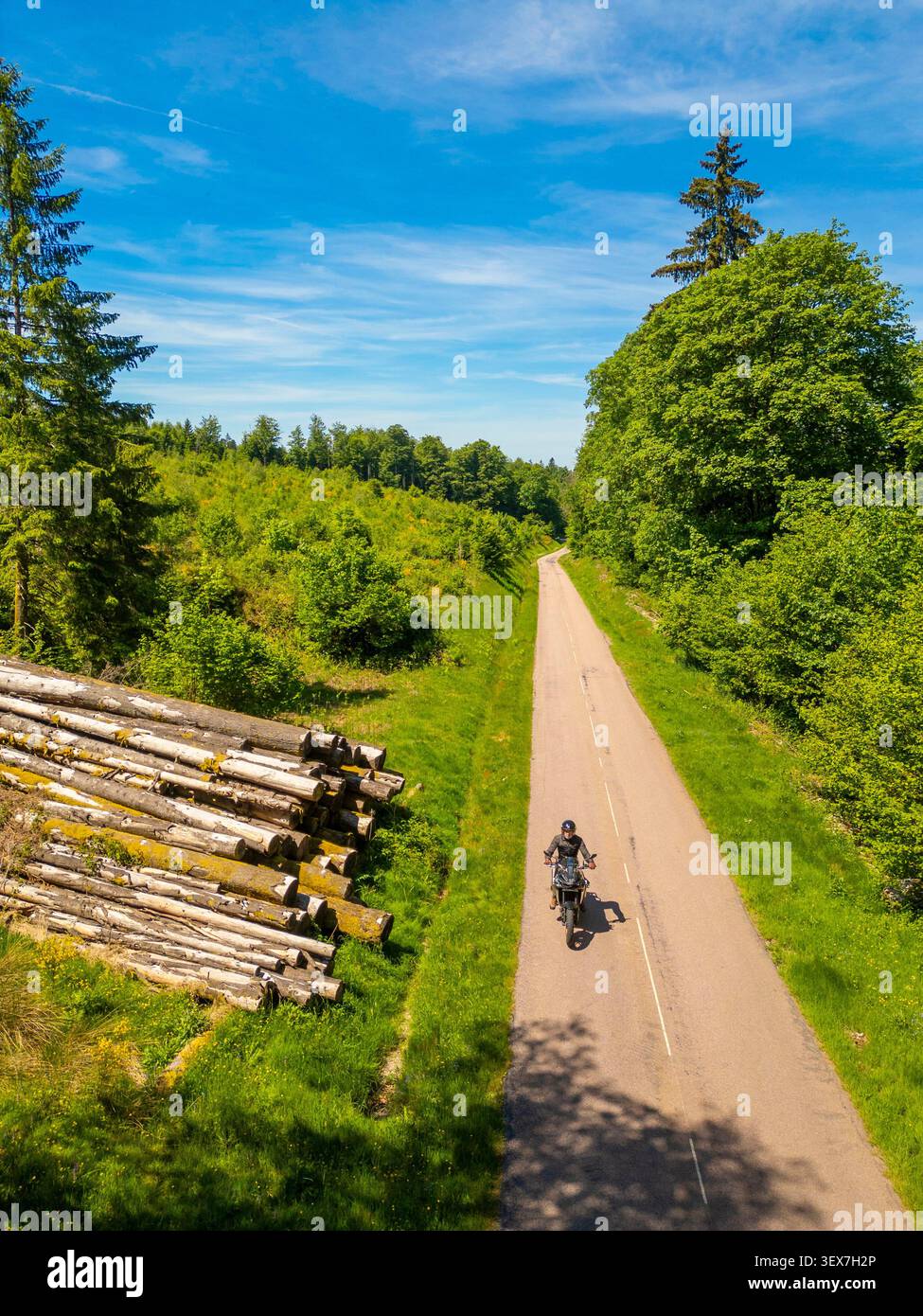 Frankreich, Haute Saone, Motorradfahrer auf der Straße im Wald bei Coravilliers, Baumstämme (aus der Vogelperspektive) Stockfoto