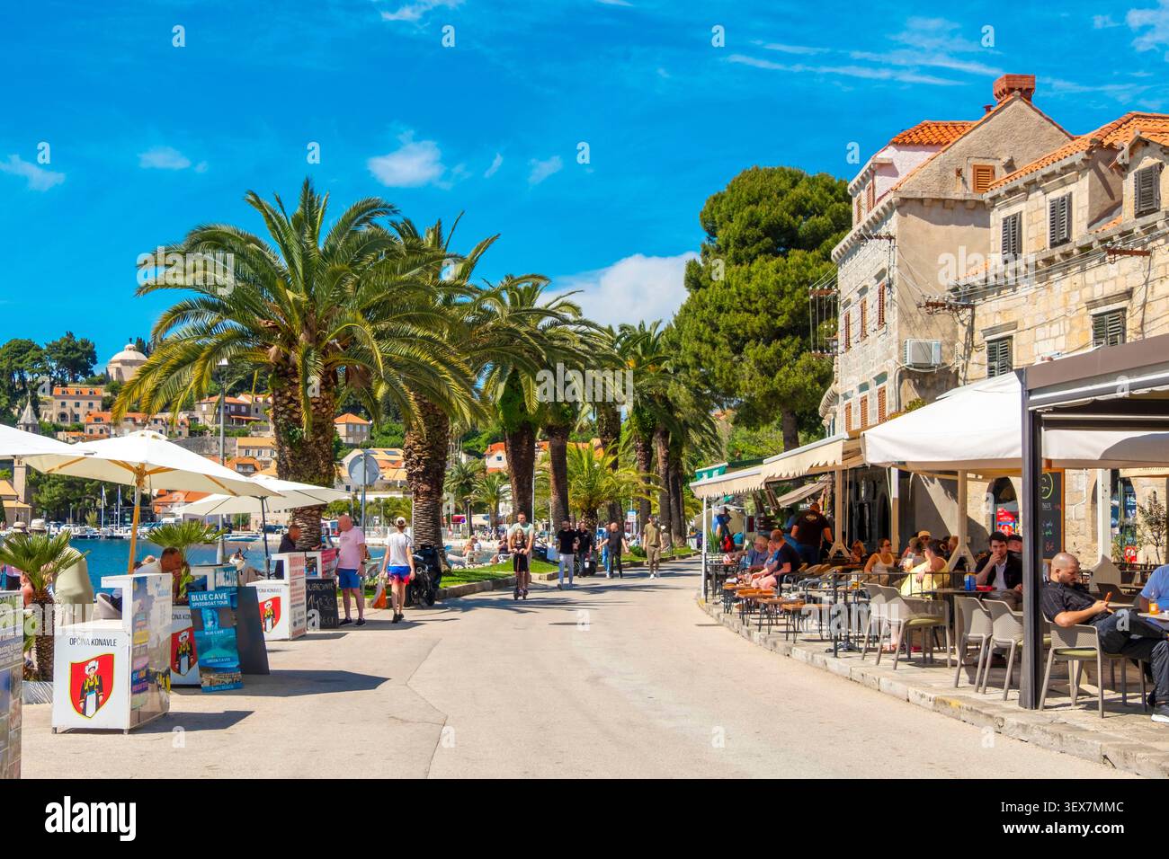 Kroatien, Dalmatien, dalmatinische Küste, Stadt Cavtat Stockfoto