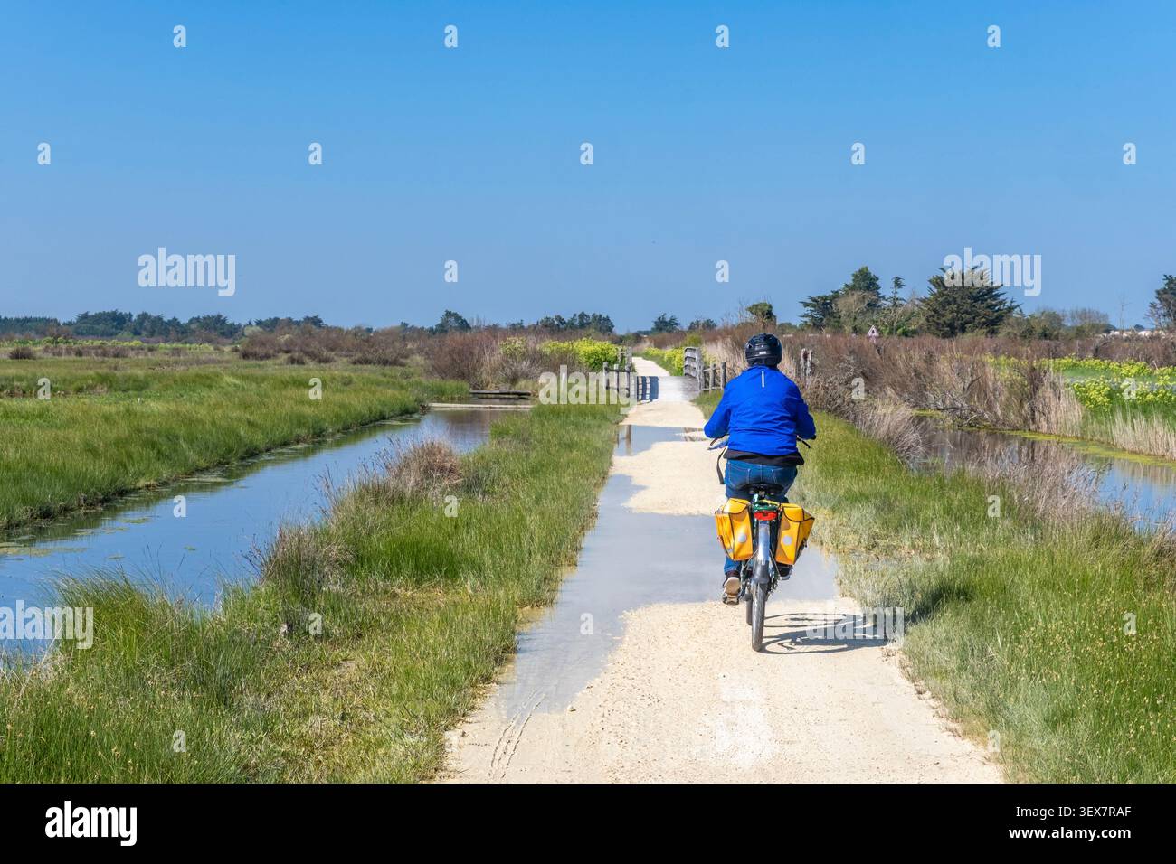 Frankreich, Charente-Maritime (17), île d'Oléron, Stockfoto