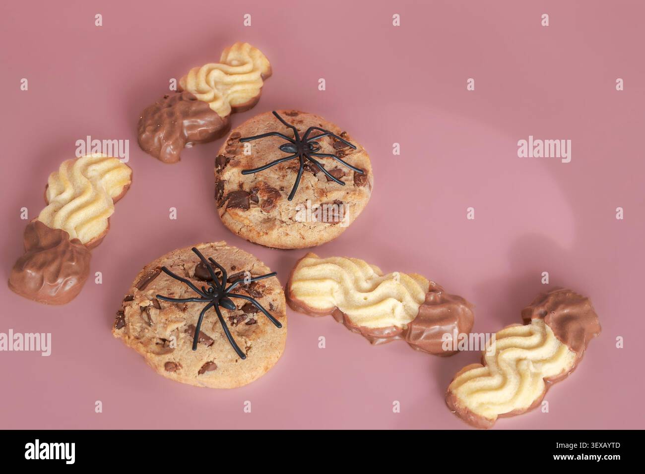 Rosafarbene Oberfläche hält festliche Halloween-Kekse. In Schokolade getauchte Wirbel sorgen für einen süßen, verspielten Kontrast. Schwarze Spinnen ruhen auf Schokoladenkeksen. Nein Stockfoto