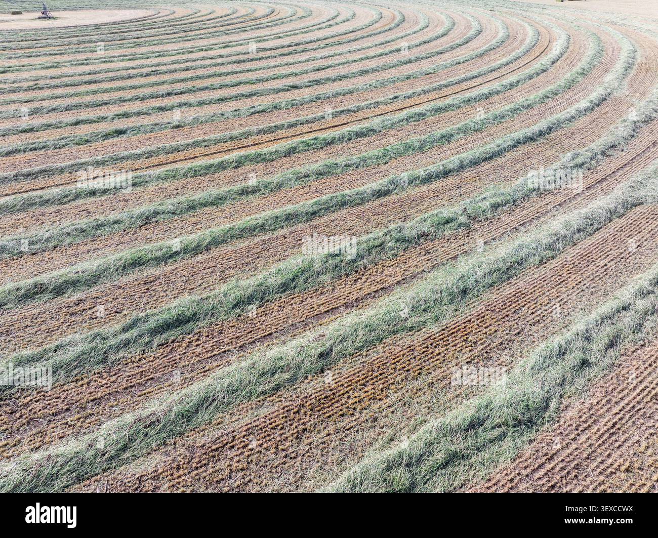 Bodenmuster krümmen sich wie Wellen auf dem Feld Stockfoto