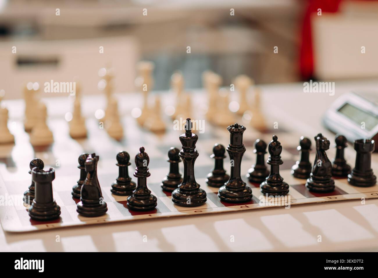Schwarze Schachfiguren, die vor dem Turnierspiel an Bord angeordnet wurden Stockfoto