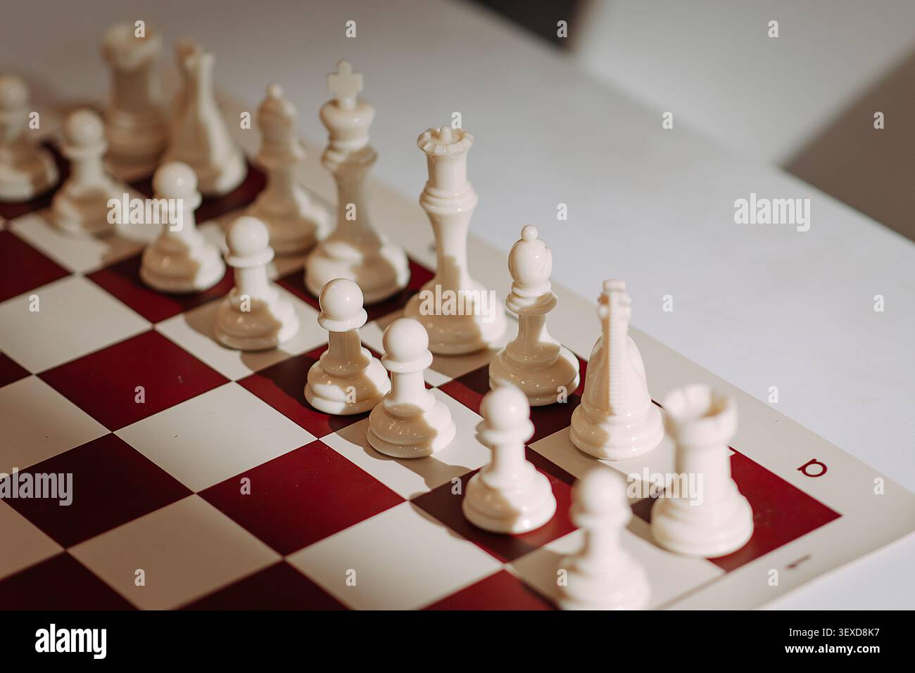 Weiße Schachfiguren, die vor dem strategischen Spiel auf dem Schachbrett angeordnet wurden Stockfoto