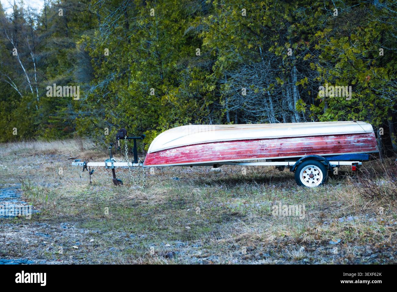 Ein rustikales, verwittertes Boot steht auf einem grasbewachsenen Pfad, der zu einem abgelegenen Haus führt, das von dichtem Wald umgeben ist. Diese ruhige Szene fängt die Essenz des Landeslebens ein Stockfoto