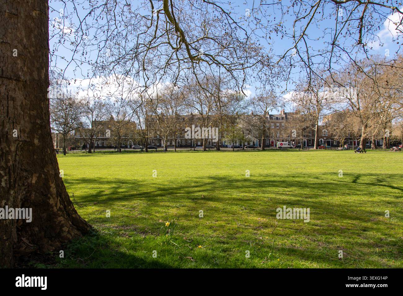 Blick über die Highbury Fields, London N1 Stockfoto