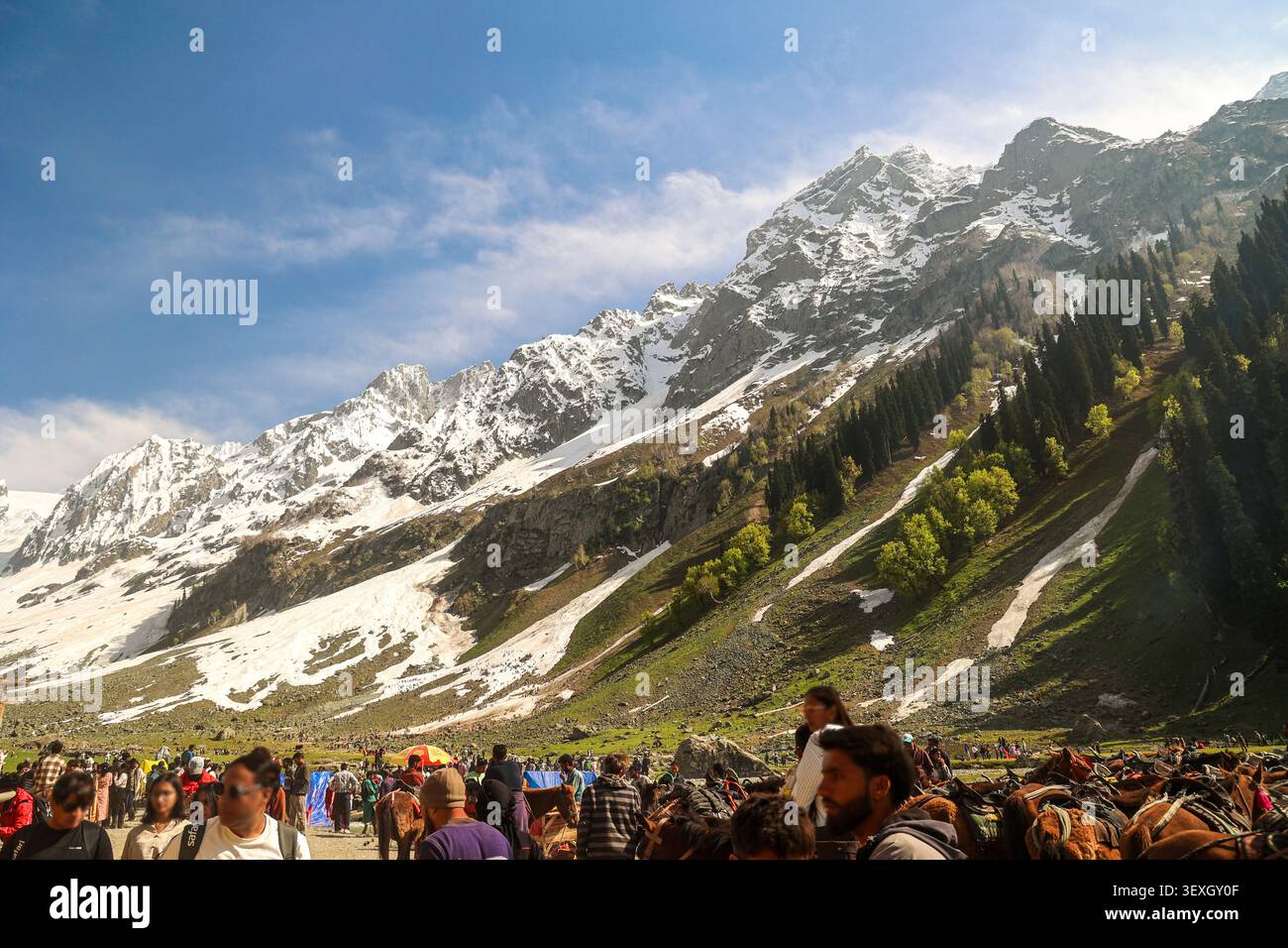 KASCHMIR, INDIEN – 10. MAI 2026: Touristen und Ponypferde versammeln sich in der Nähe des Thajiwas-Gletschers in Sonamarg, Kaschmir, umgeben von dramatischen Bergen. Stockfoto