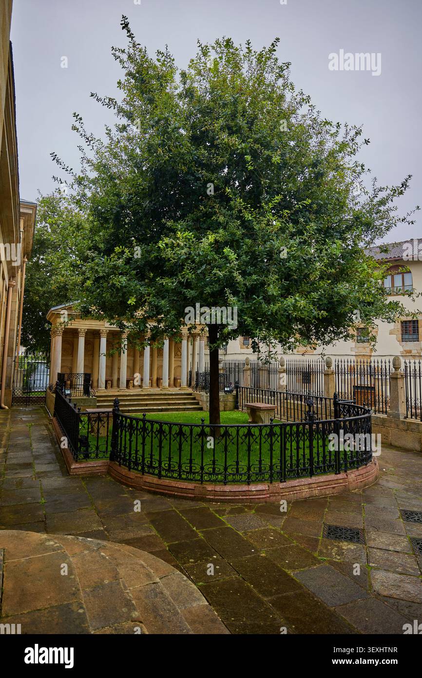 Der neue Baum von Gernika in Spanien. Diese Eiche symbolisiert traditionelle Freiheiten für das biskayanische Volk. Stockfoto