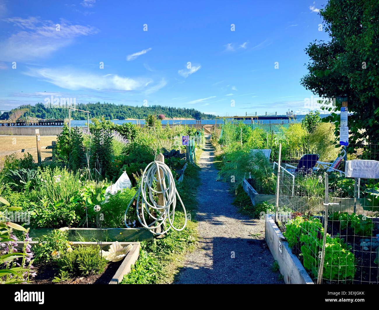 Argyle Village Community Garden an der Uferpromenade von West Vancouver, British Columbia, Kanada, mit Kleingrundstücken - Smartphone-aufgenommenes Stockfoto