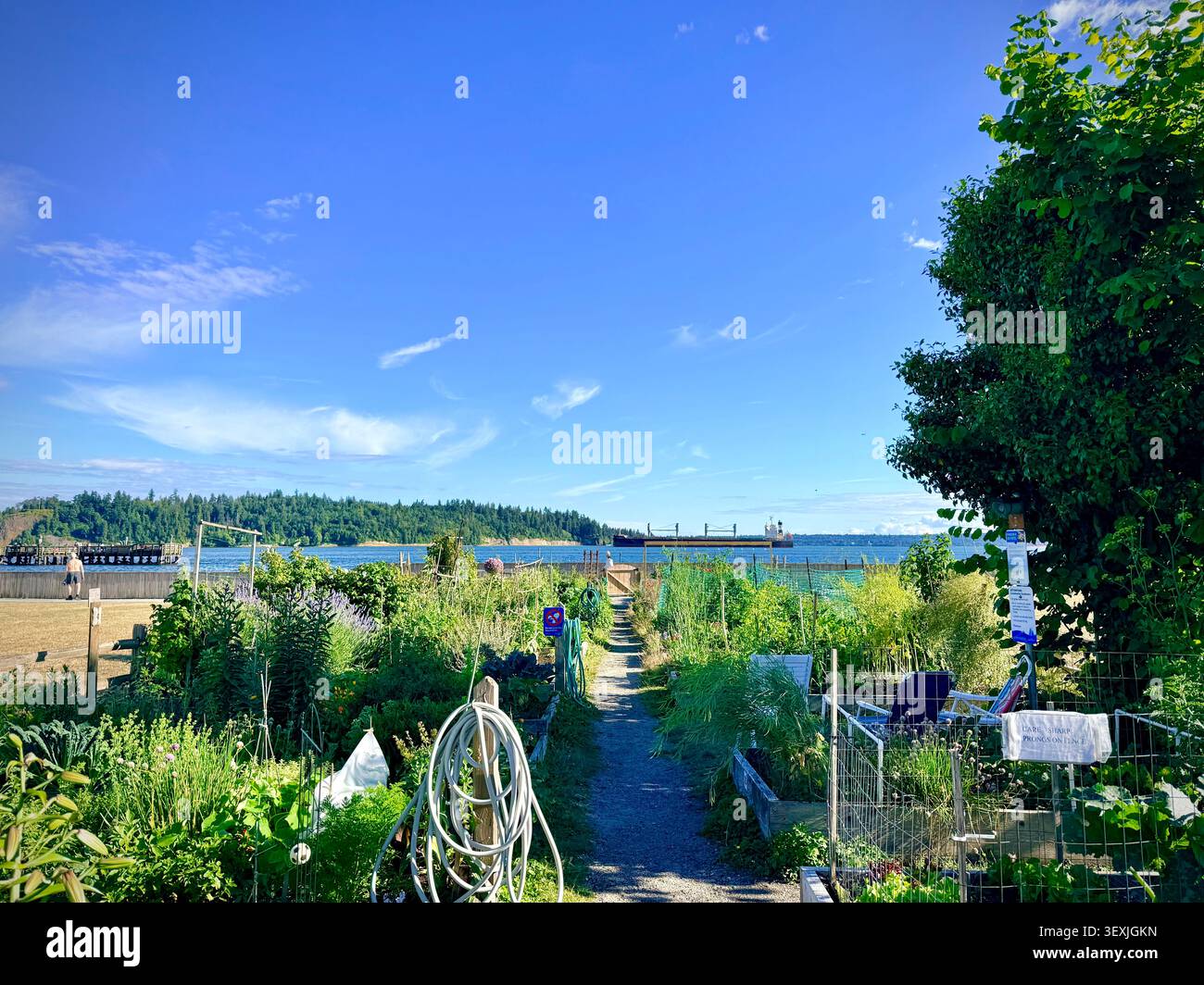 Argyle Village Community Garden an der Uferpromenade von West Vancouver, British Columbia, Kanada, mit Kleingrundstücken - Smartphone-aufgenommenes Stockfoto