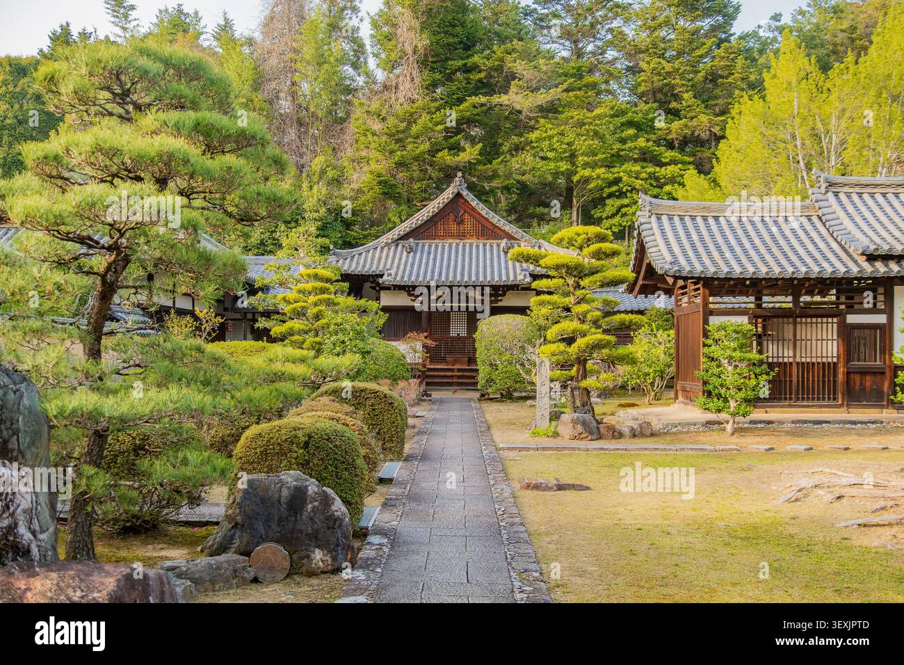 Traditioneller japanischer Tempelgarten mit Weg und Bonsaibäumen in Nara, Japan. Stockfoto