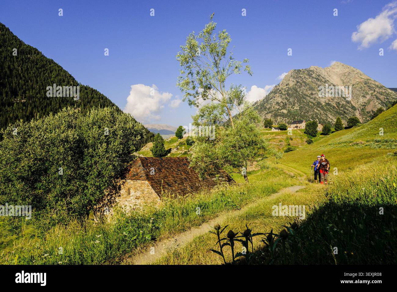 Viadós Farmen, Gistaín-Tal, Aragonesische Pyrenäen, Huesca, Spanien. Stockfoto